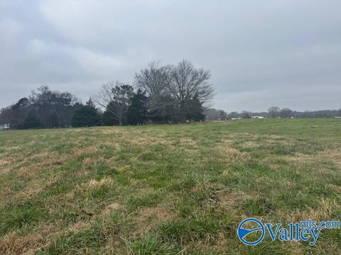 Vacant Land For Sale - TRACT 5 Alabama Highway 99<br/> Elkmont, AL 35620