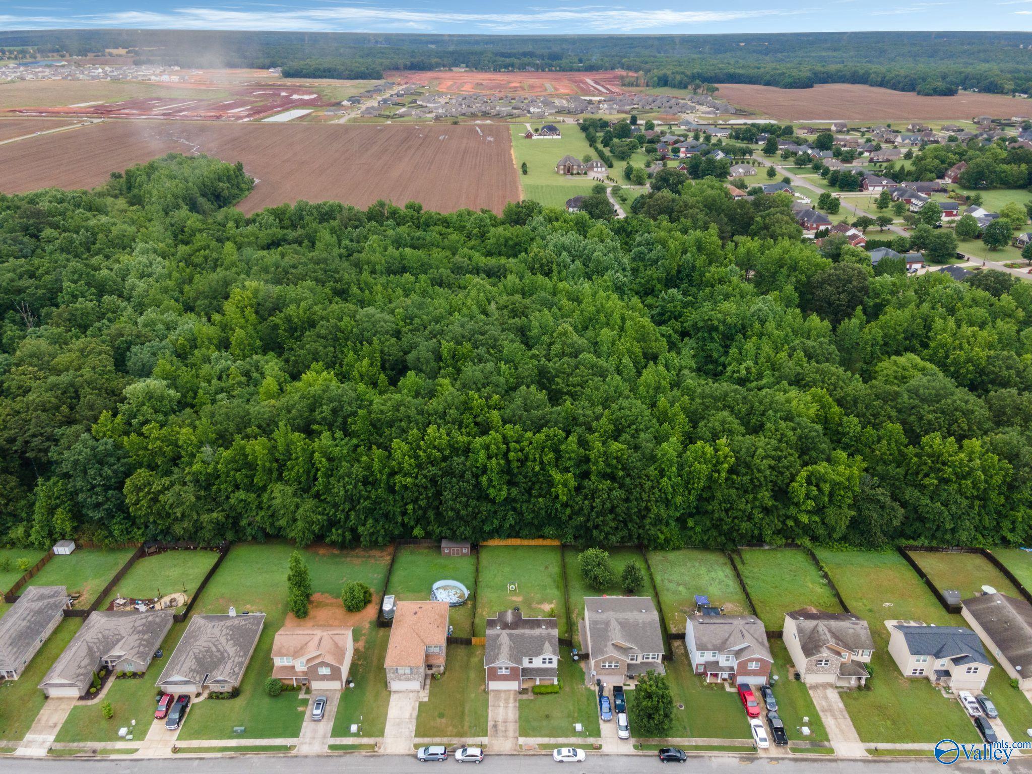 151 Bermuda Lakes Drive, Meridianville, Alabama image 41