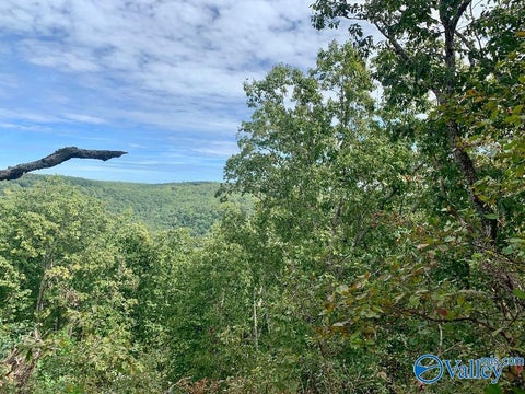 Vacant Land For Sale - 640 Blowing Cave Road<br/> Gurley, AL 35748