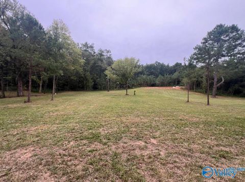 Vacant Land For Sale - 104 ACRES Wesson Gap Road<br/> Etowah County, Attalla, AL 35954