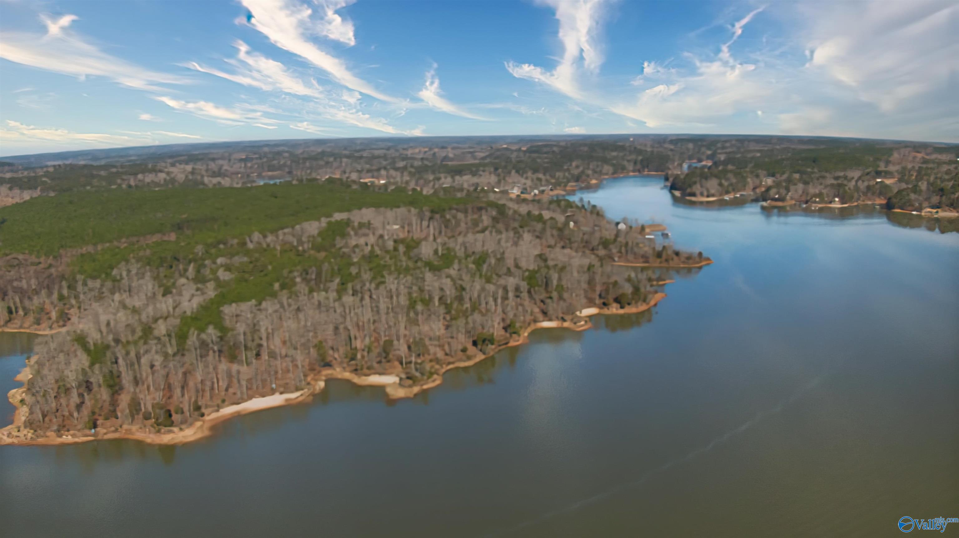 41 Acres Big Bear Branch Road, Double Springs, Alabama image 8