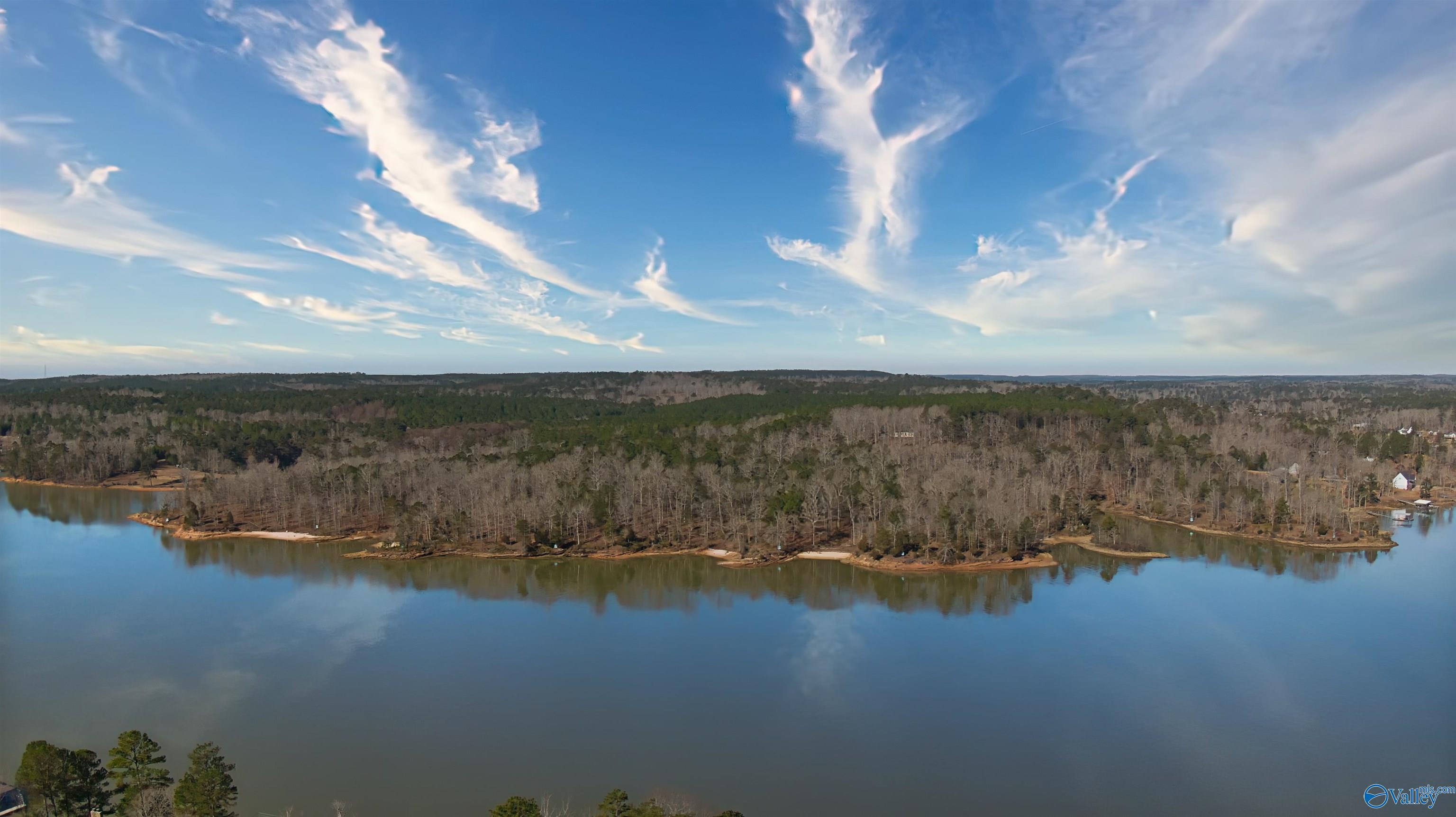 41 Acres Big Bear Branch Road, Double Springs, Alabama image 13