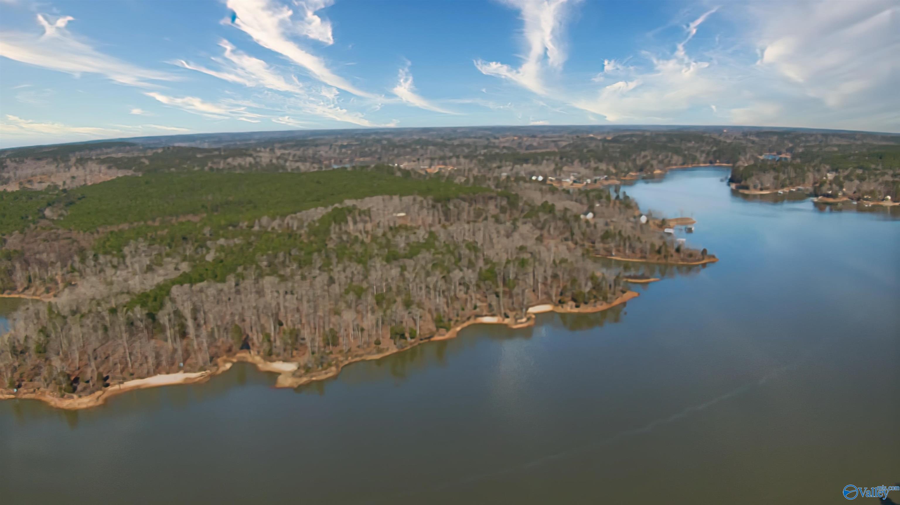 41 Acres Big Bear Branch Road, Double Springs, Alabama image 7