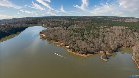 41 acres Big Bear Branch Road Double Springs AL 35553