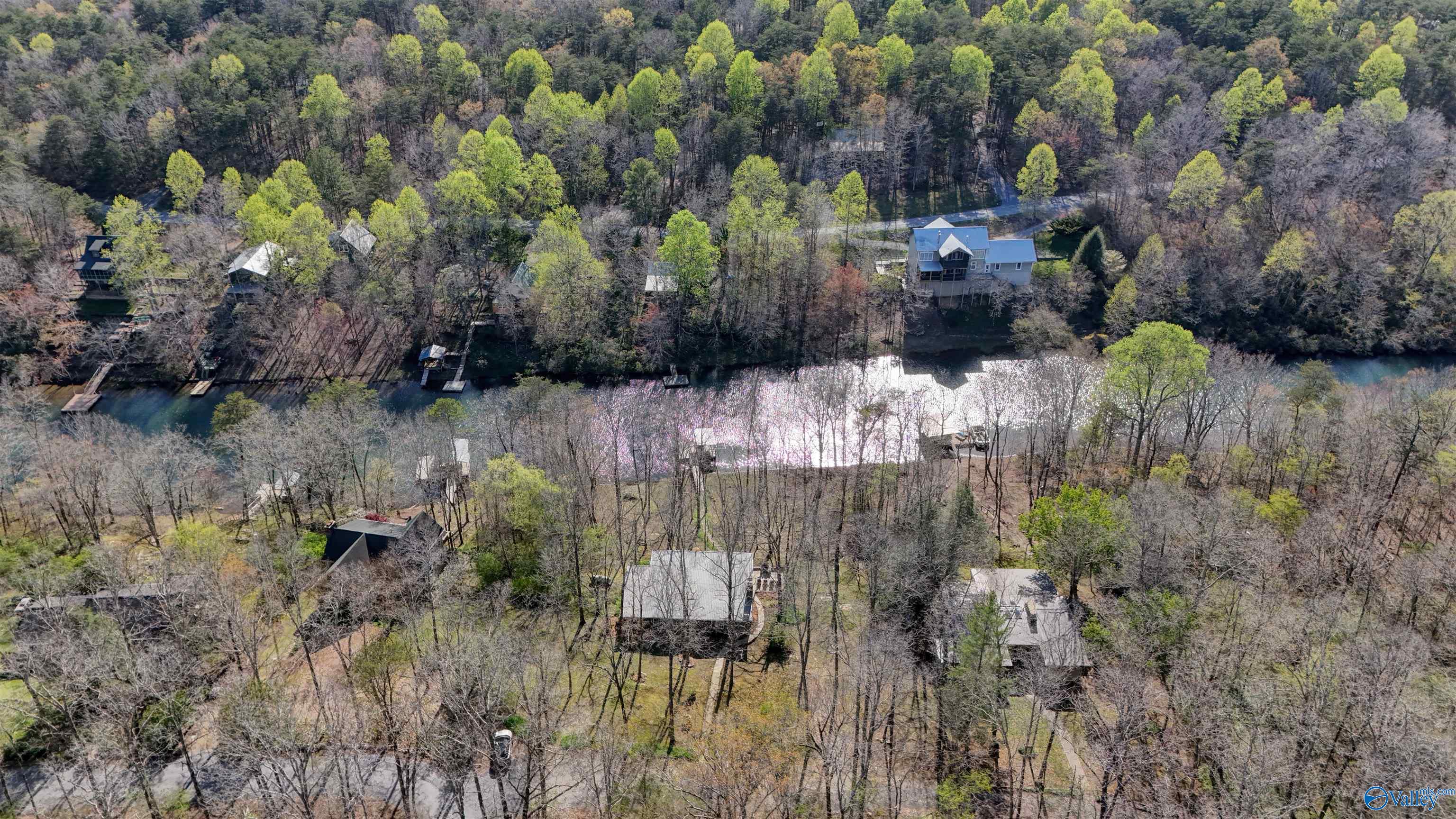 98 County Road 636, Mentone, Alabama image 5