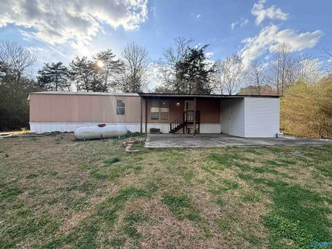 Mobile Home For Sale - 1417 Terrell Road<br/> Albertville, AL 35951