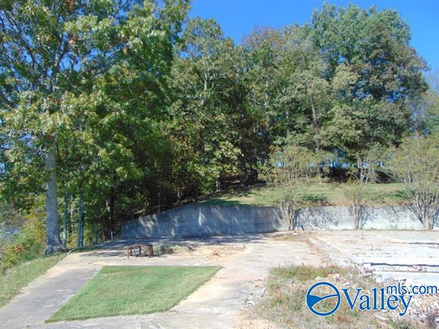 1141 County Road 367, Anderson, Alabama image 30