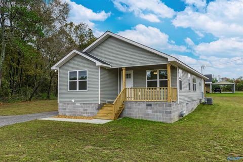 Photo of 92 Mccurdy Drive, Henagar, AL 35978 (MLS # 21902214)