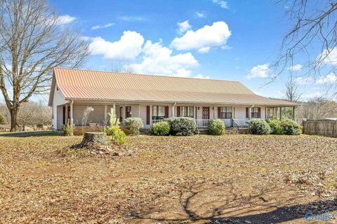 Photo of 788 County Road 16, Danville, AL 35619 (MLS # 21910823)
