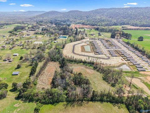 Vacant Land For Sale - 10 ACRES Knotty Walls Road<br/> Madison County, Madison, AL 35763