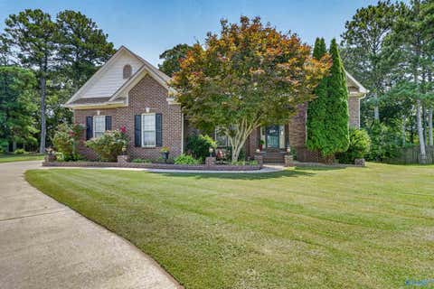 Homes For Sale - 201 Chris Ryan Lane<br/> Madison County, Toney, AL 35773