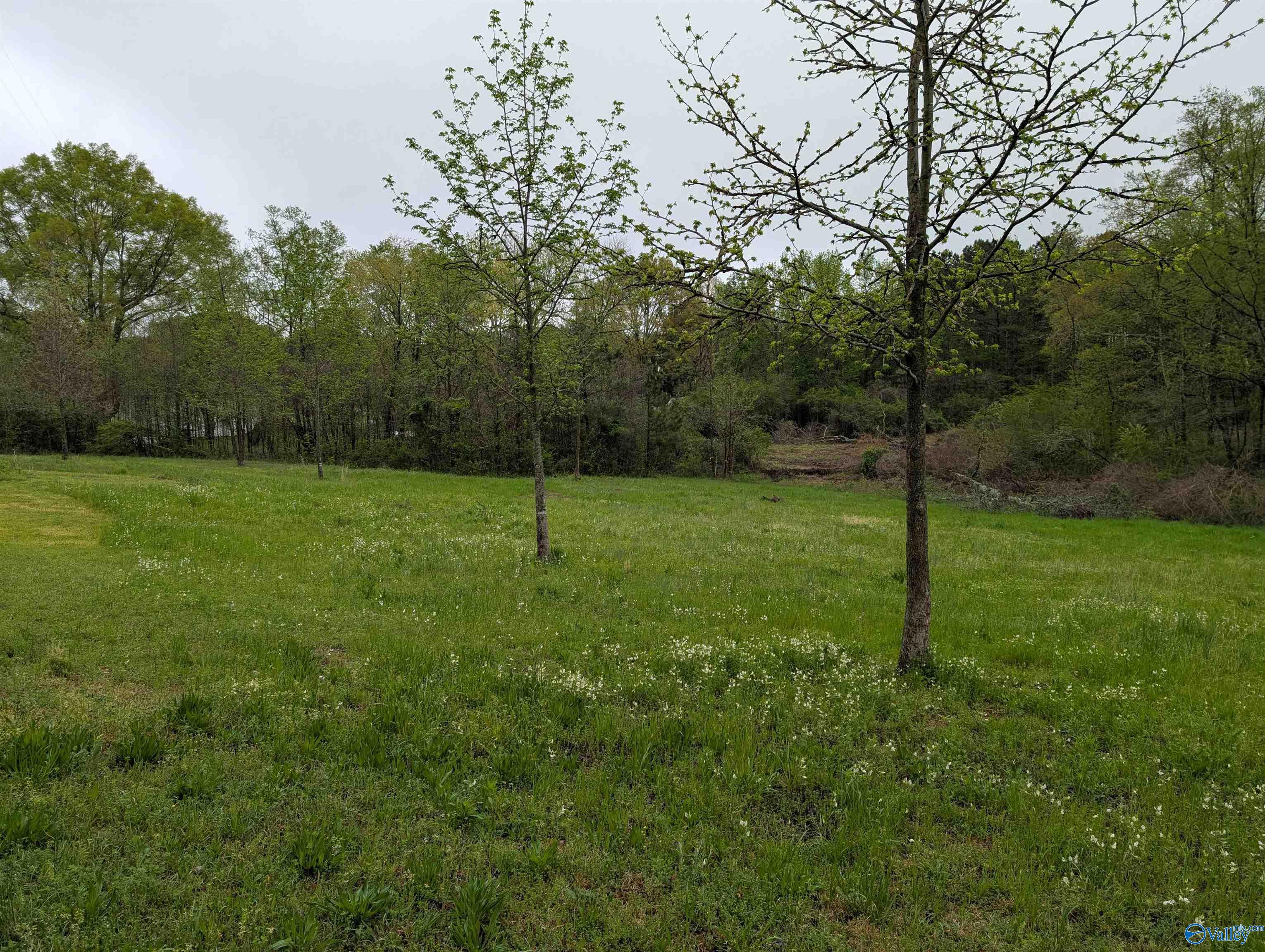 7145 Us Highway 278, Cullman, Alabama image 22