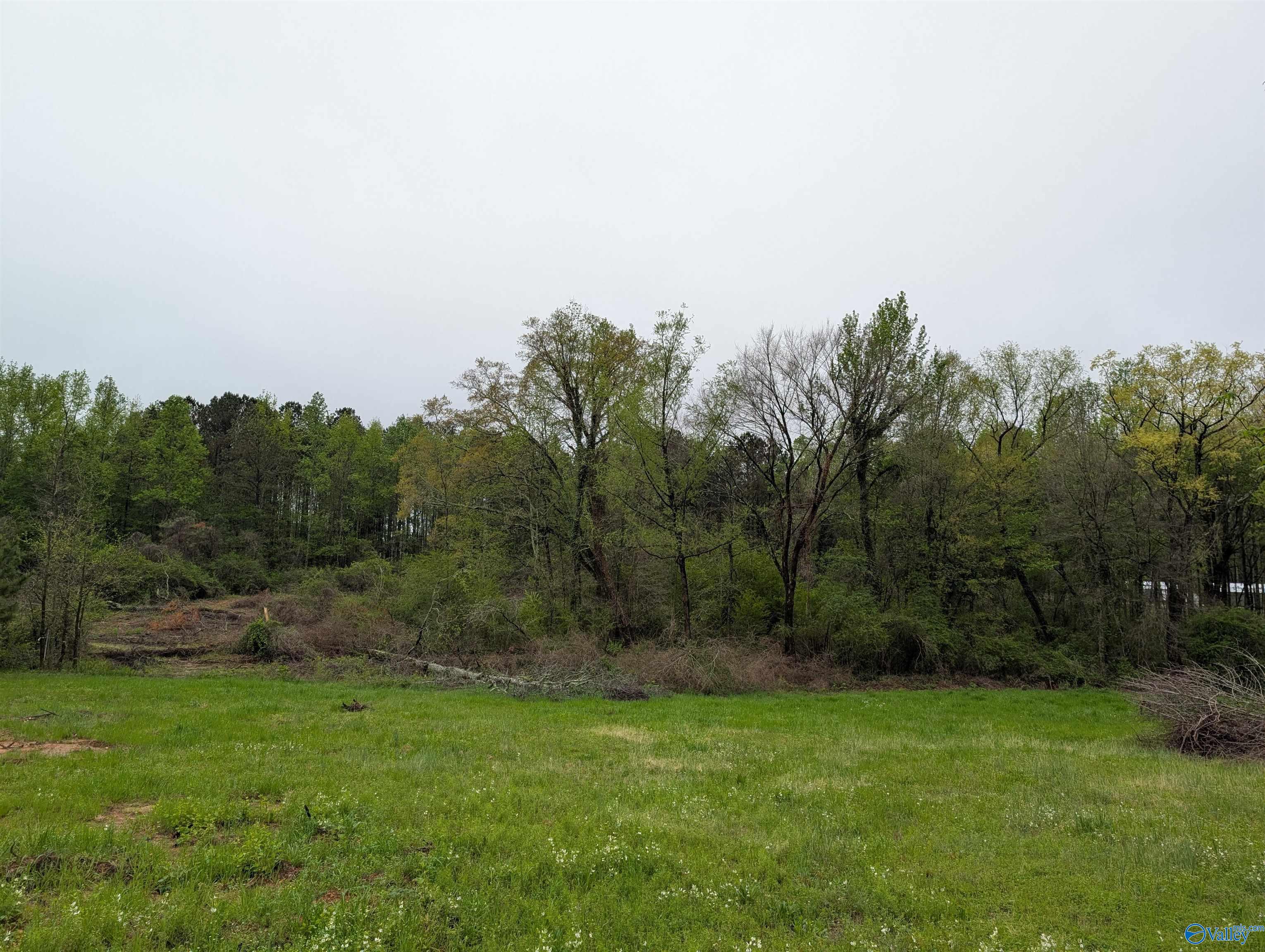 7145 Us Highway 278, Cullman, Alabama image 23