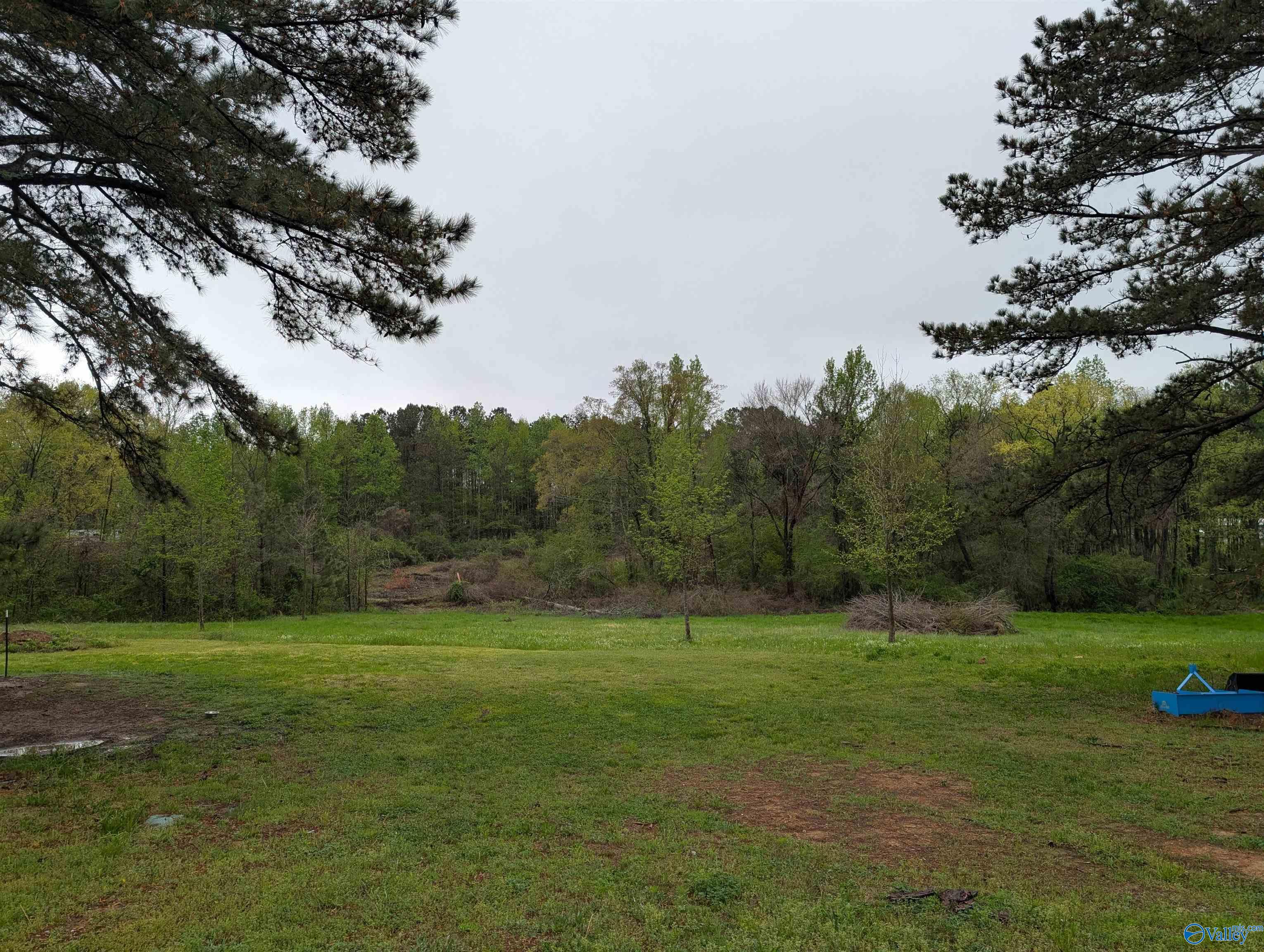 7145 Us Highway 278, Cullman, Alabama image 25