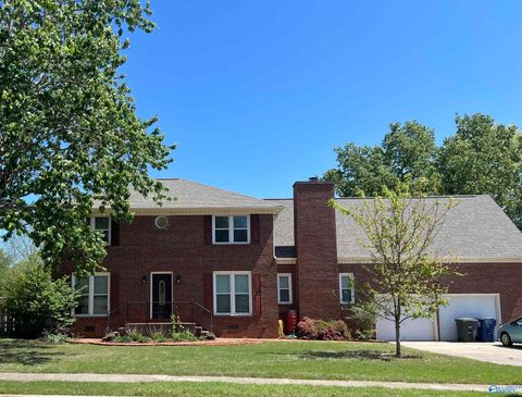 10025 Willow Cove Road Huntsville AL 35803