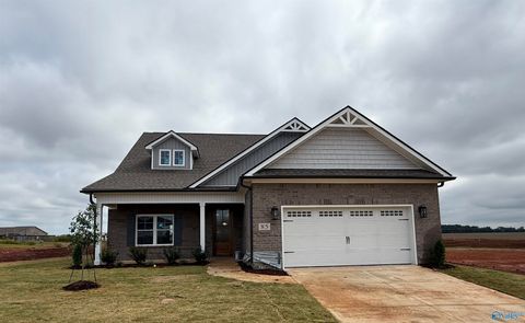 85 Dylan Road Madison AL 35756
