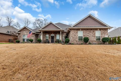 Photo of 117 Chesnut Heath Court, Madison, AL 35756 (MLS # 21905159)