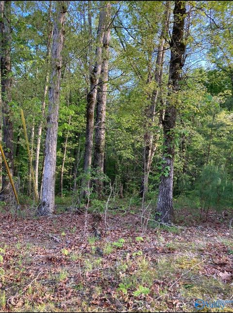 Vacant Land For Sale - LOT 1 Louise Avenue<br/> Etowah County, Southside, AL 35907