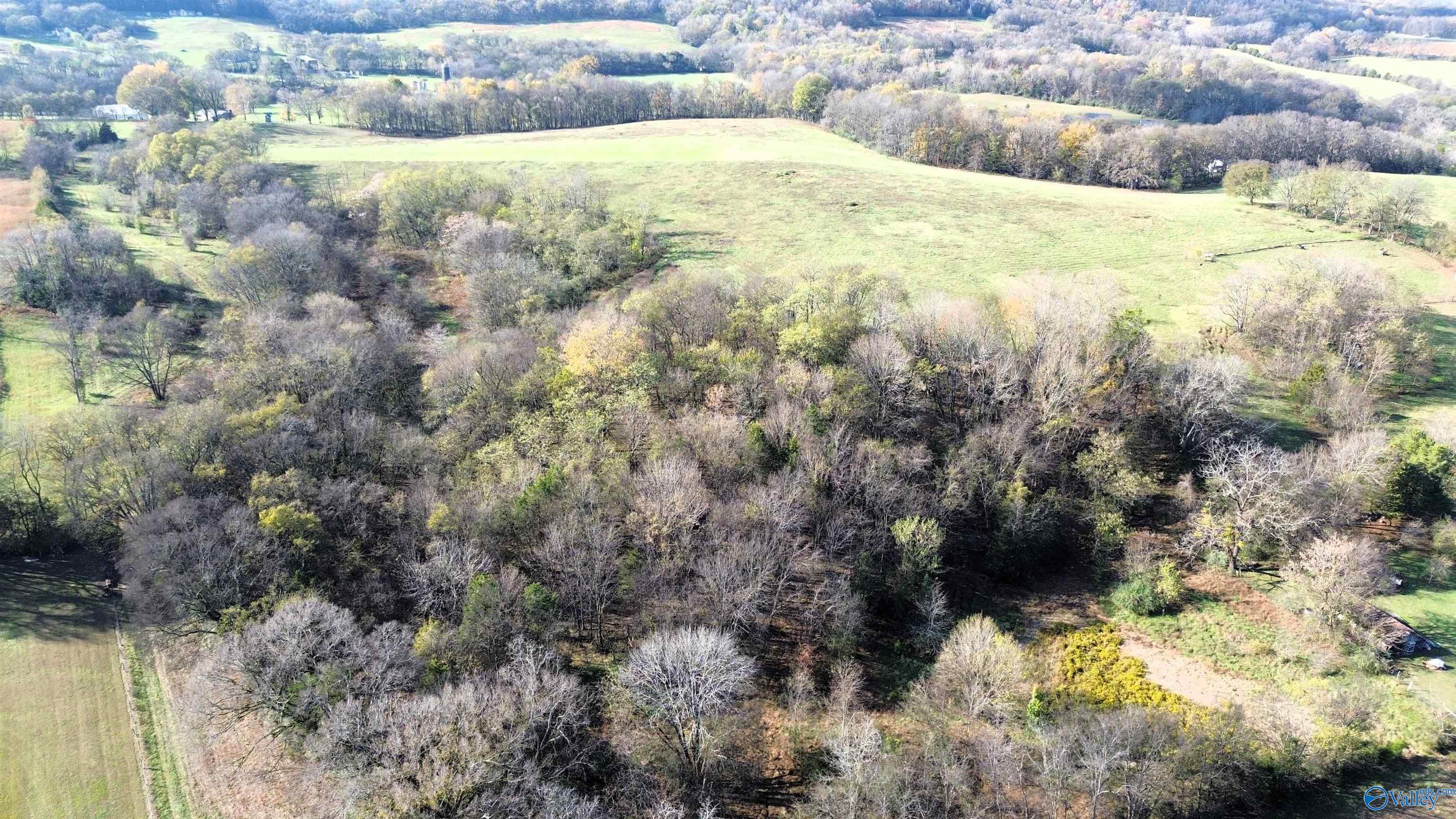 47.69 Ac Mooresville Pike, Culleoka, Tennessee image 5