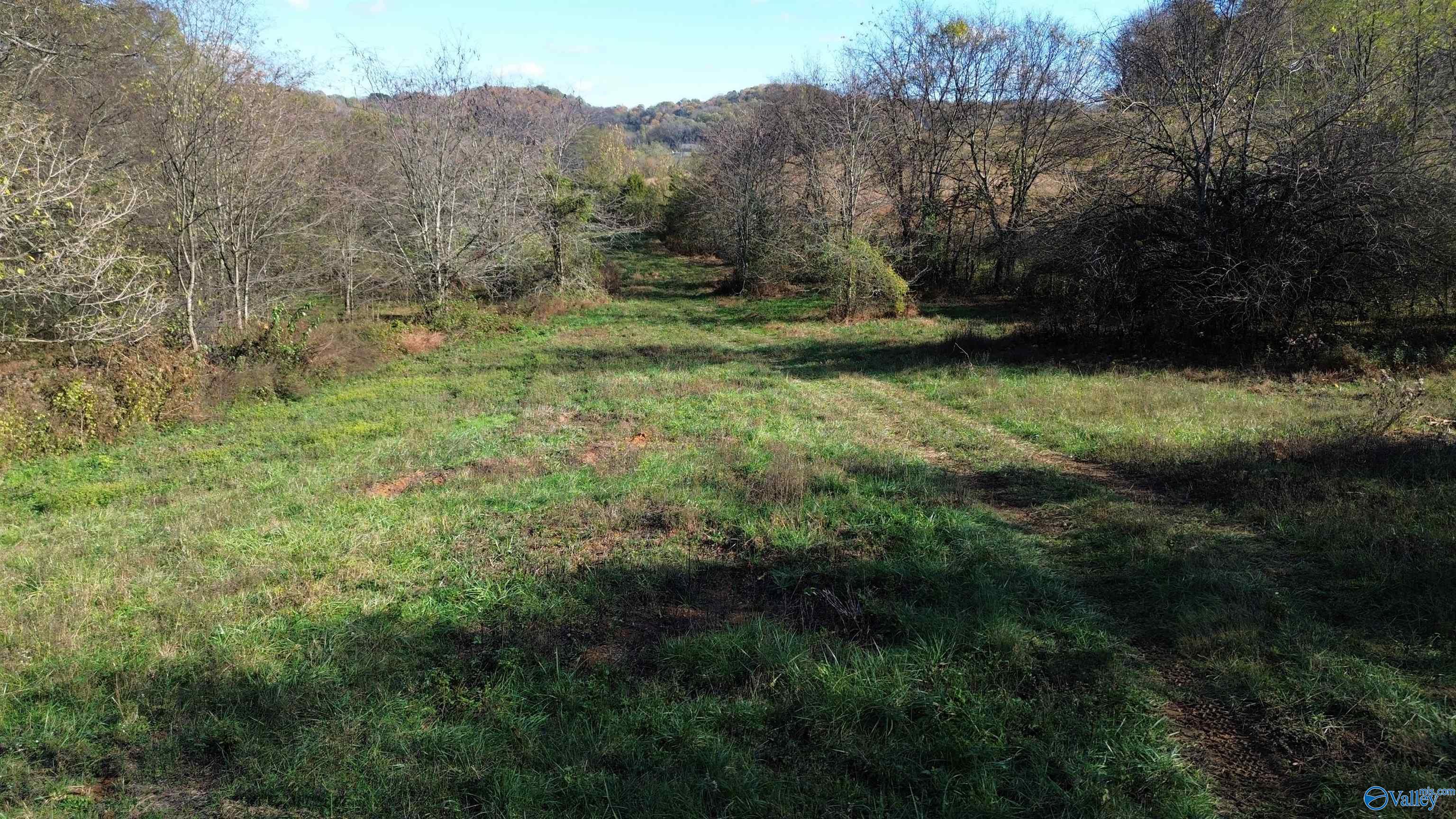 47.69 Ac Mooresville Pike, Culleoka, Tennessee image 4