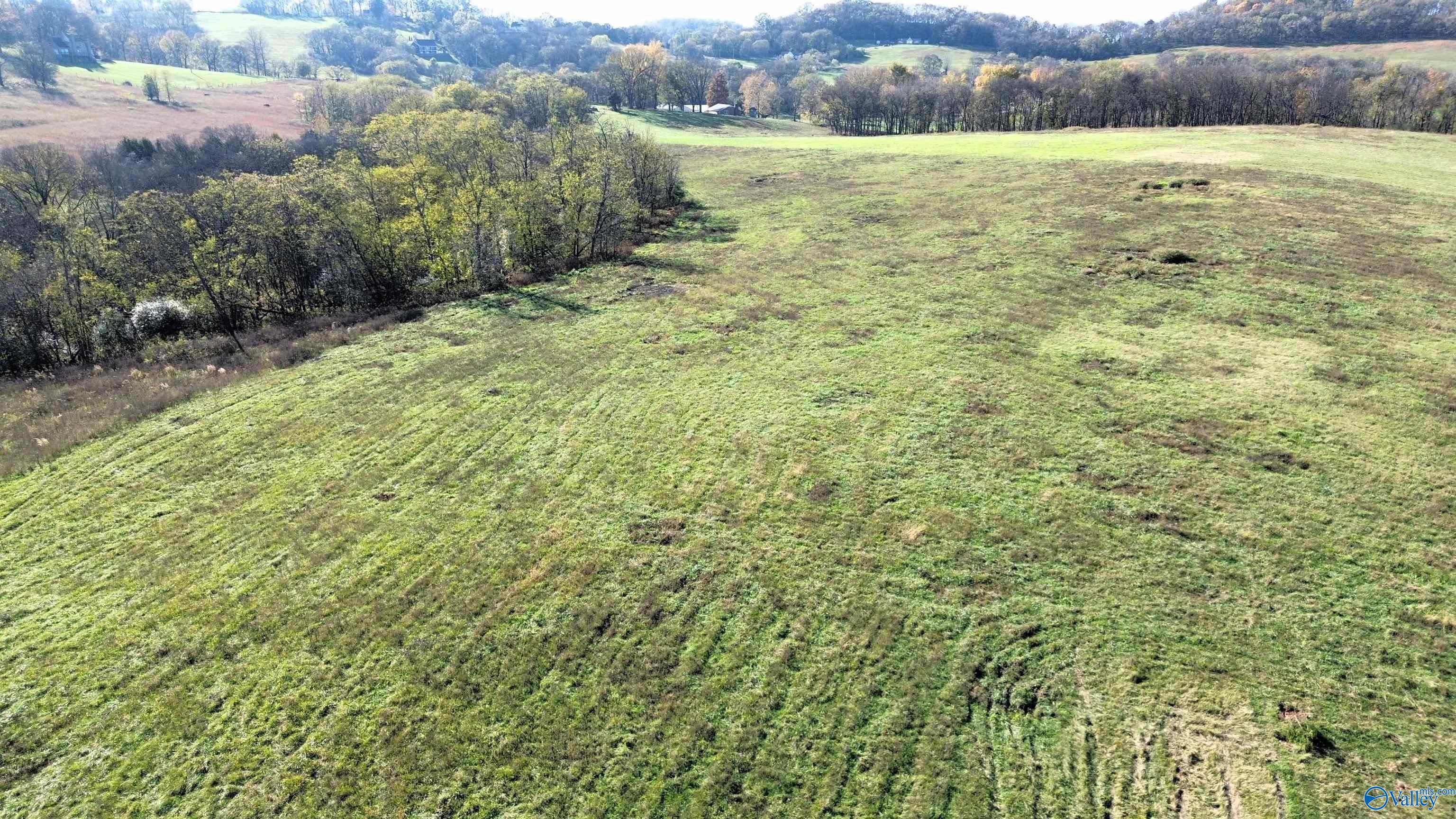 47.69 Ac Mooresville Pike, Culleoka, Tennessee image 2