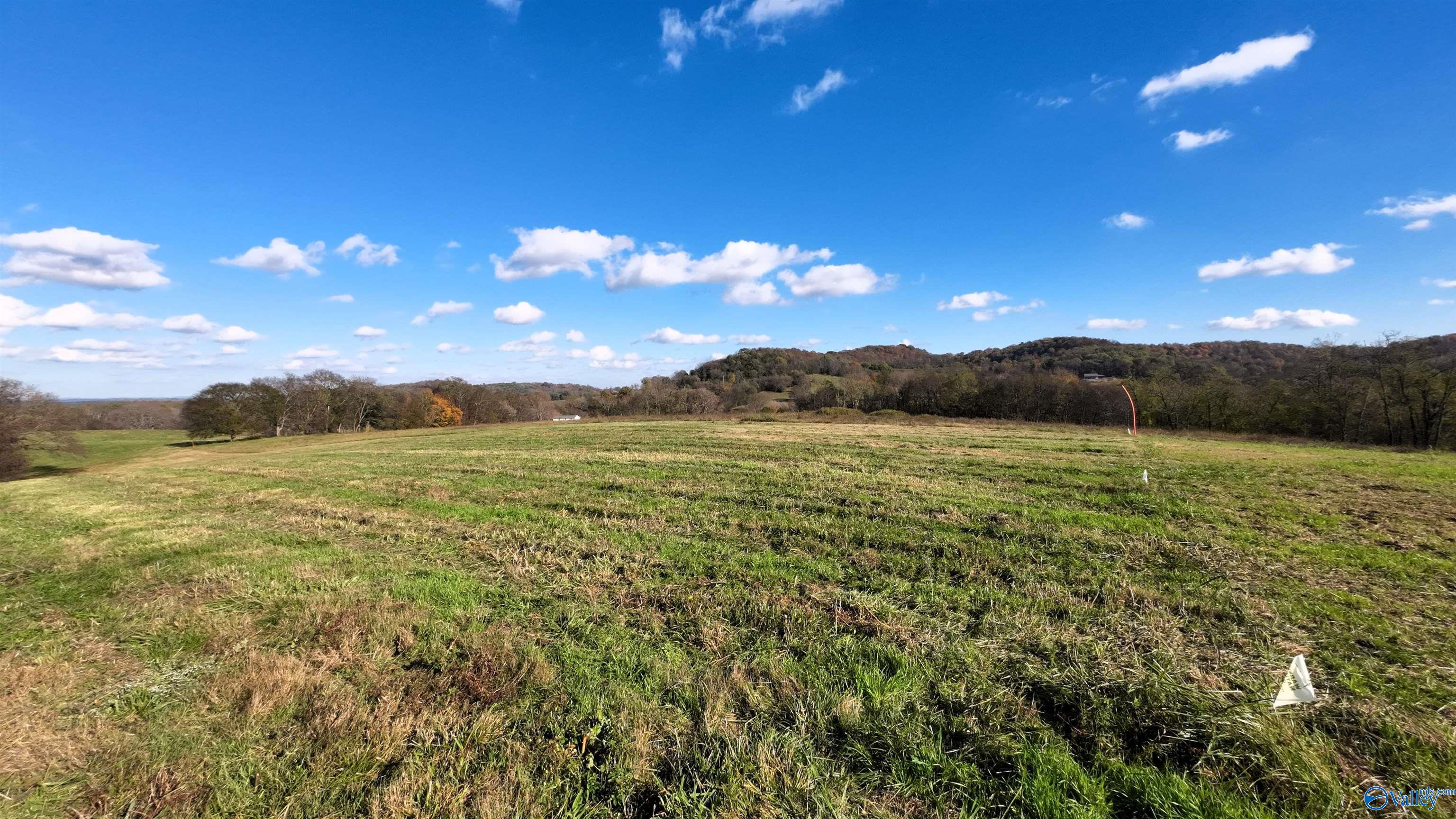 47.69 Ac Mooresville Pike, Culleoka, Tennessee image 7