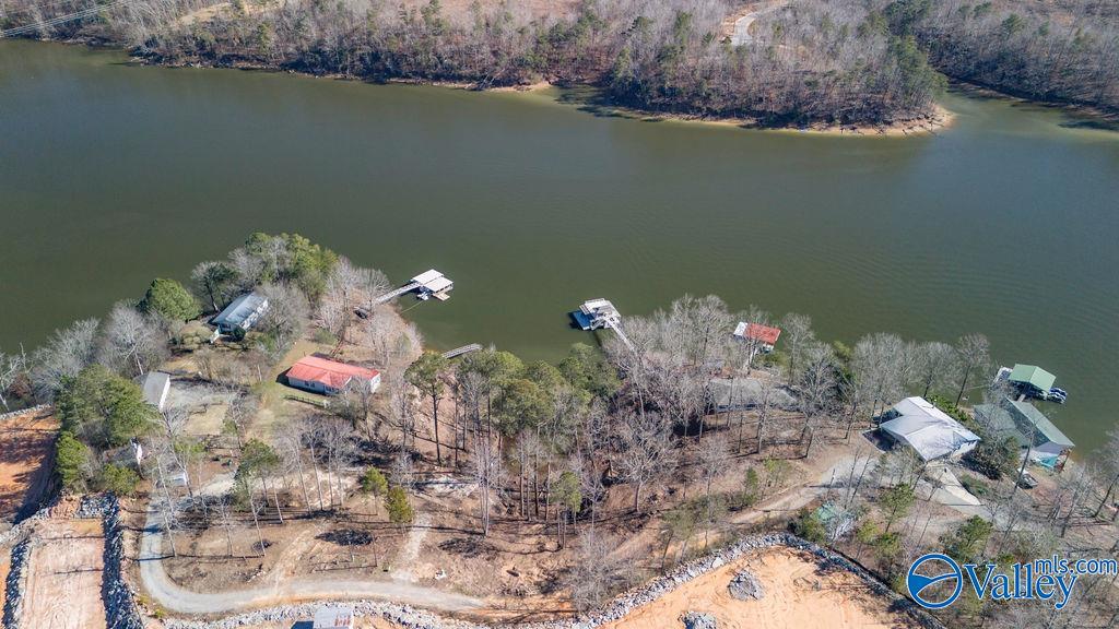 Parcel 1 County Road 206, Crane Hill, Alabama image 6