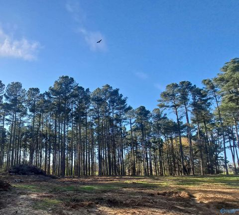 Vacant Land For Sale - 3.02 Laura Avenue<br/> Albertville, AL 35951