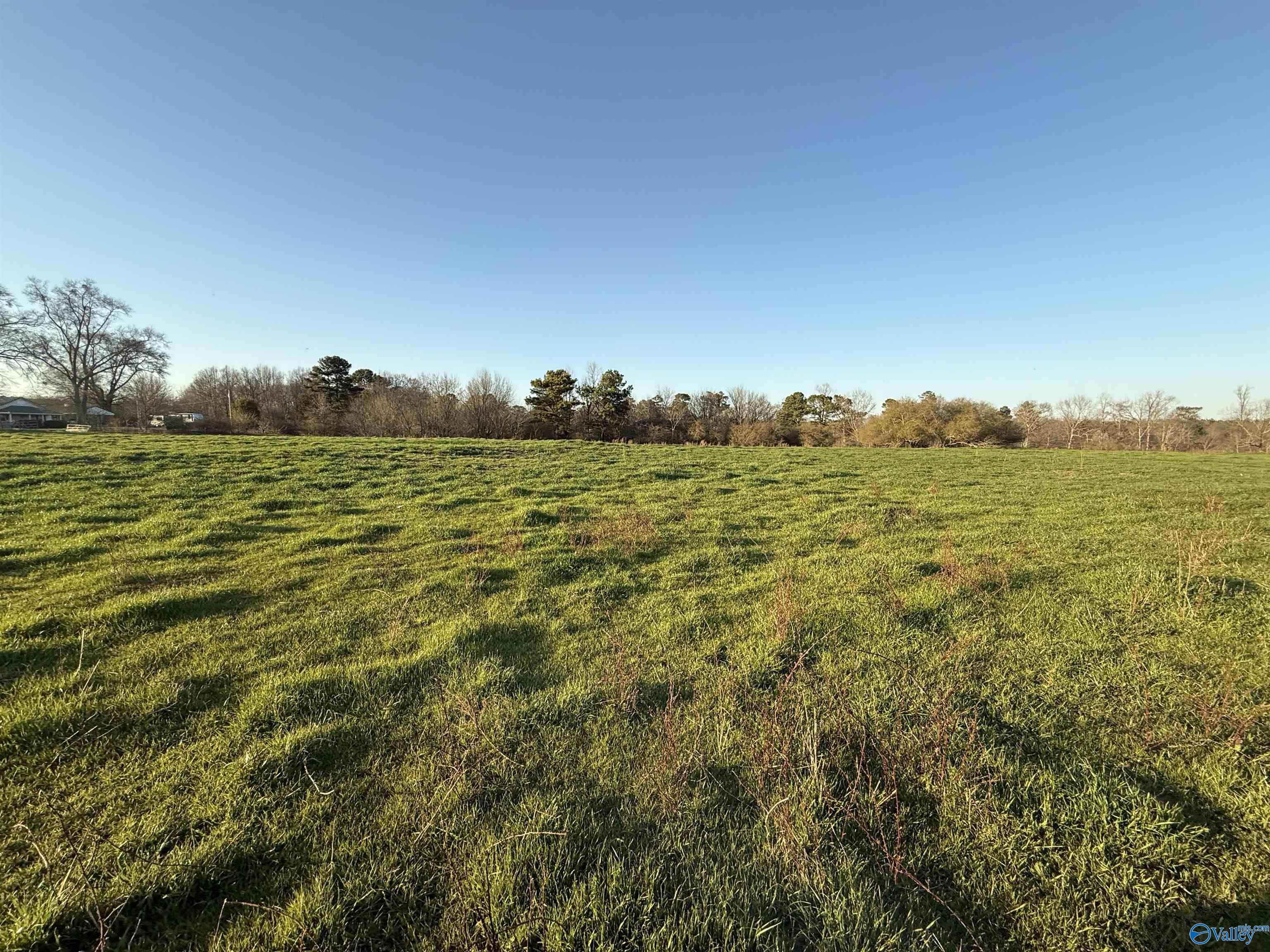 2663 County Road 643, Hanceville, Alabama image 8