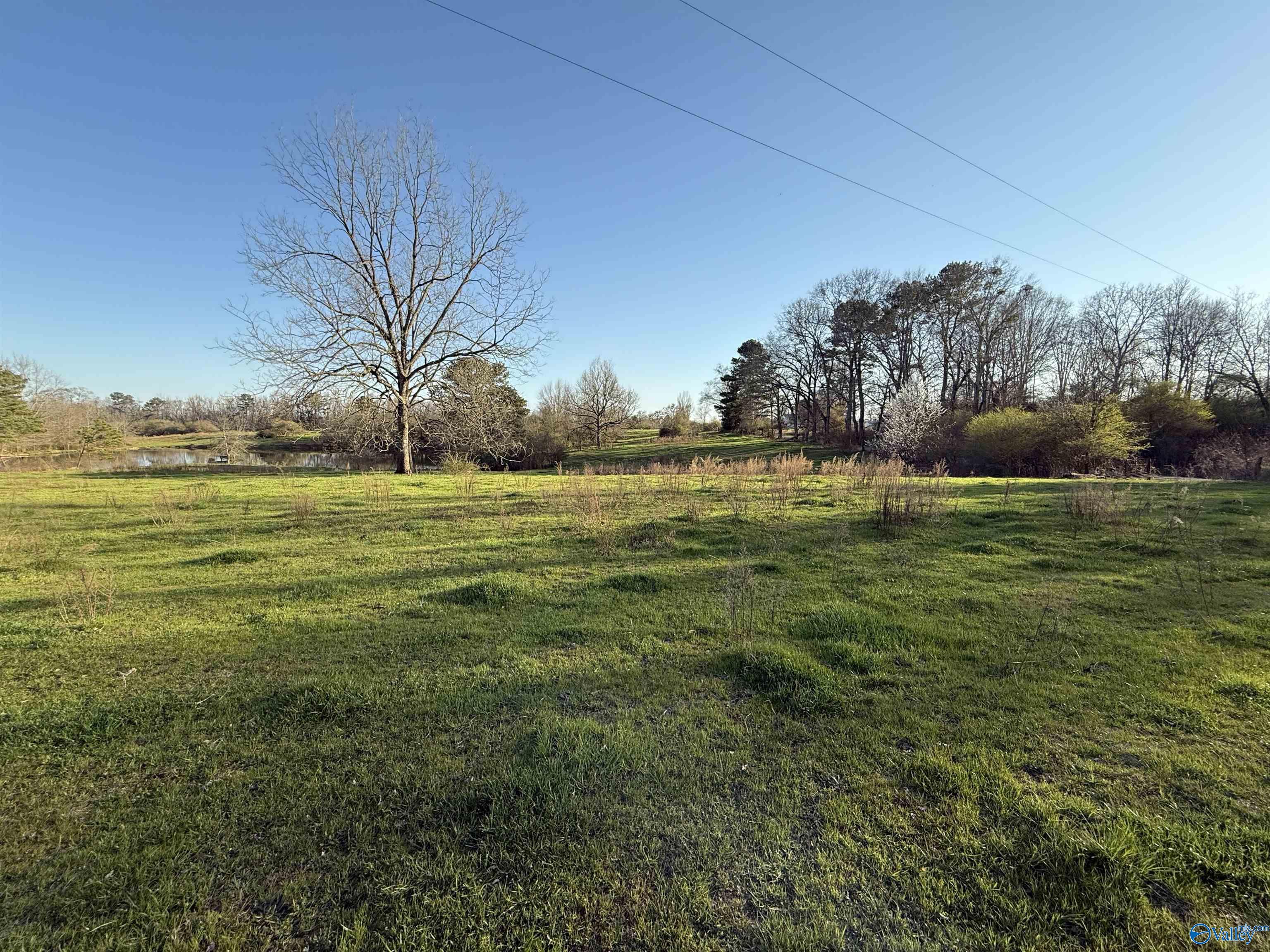2663 County Road 643, Hanceville, Alabama image 4
