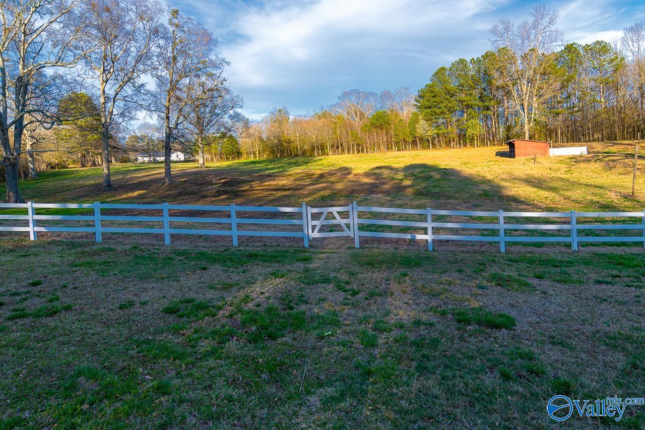 1702 Moman Road, Horton, Alabama image 31