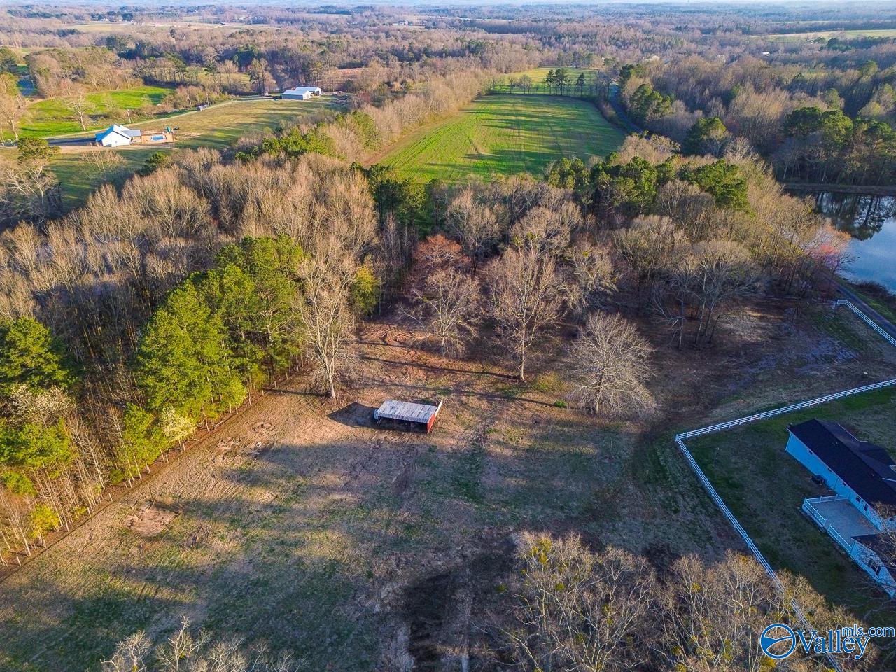 1702 Moman Road, Horton, Alabama image 34