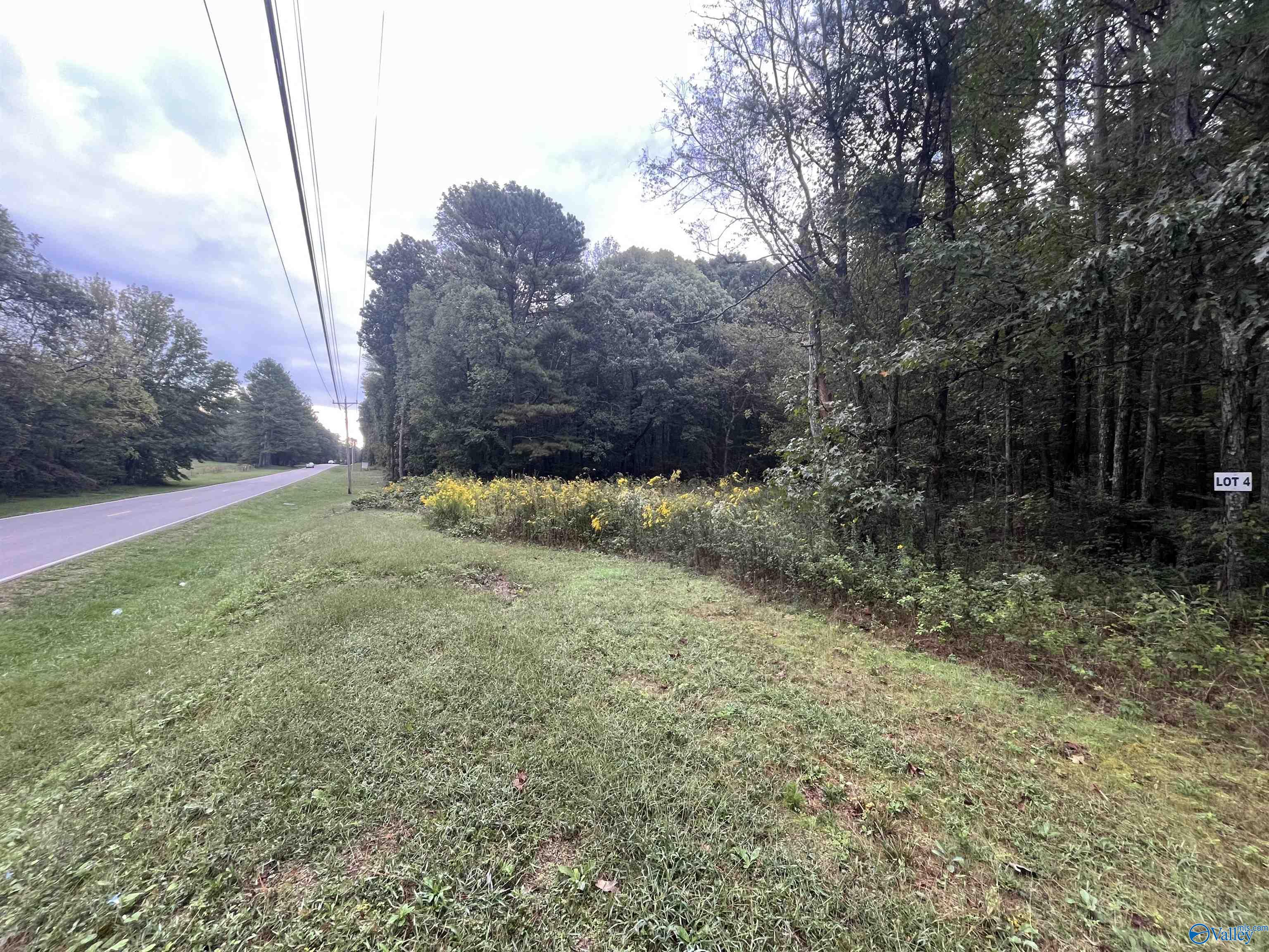 11 Acres Austinville Flint Road, Decatur, Alabama image 1