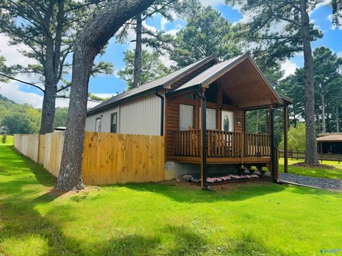 Photo of 1314 Murphy Hill Road, Langston, AL 35755 (MLS # 21909544)