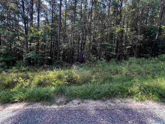 15 COUNTY RD 592, FORT PAYNE, AL 35968 - Image be0ba4492e770493d9d96bf8e81437d5/1336629564