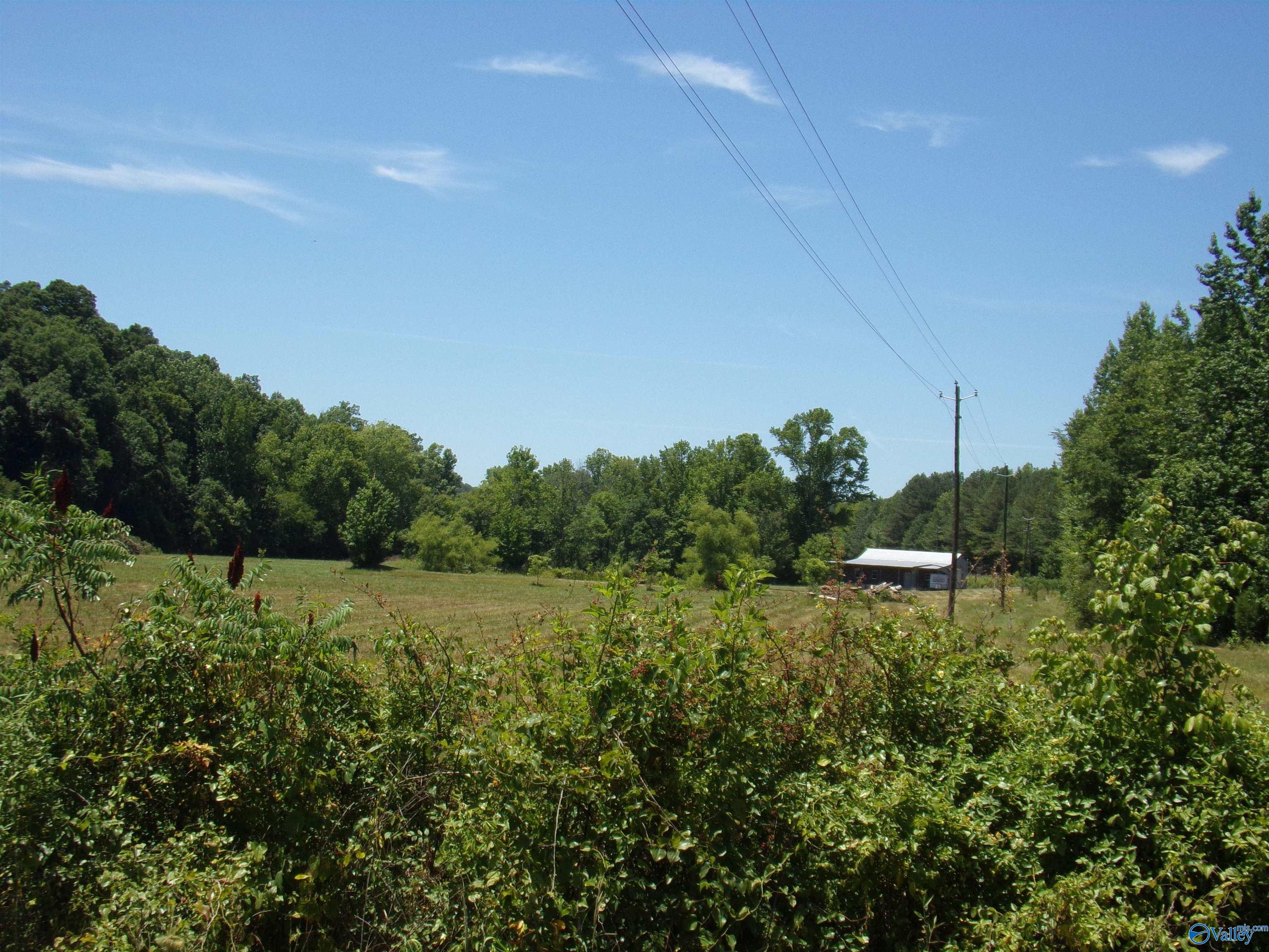 6608 Sand Valley Road, Attalla, Alabama image 44