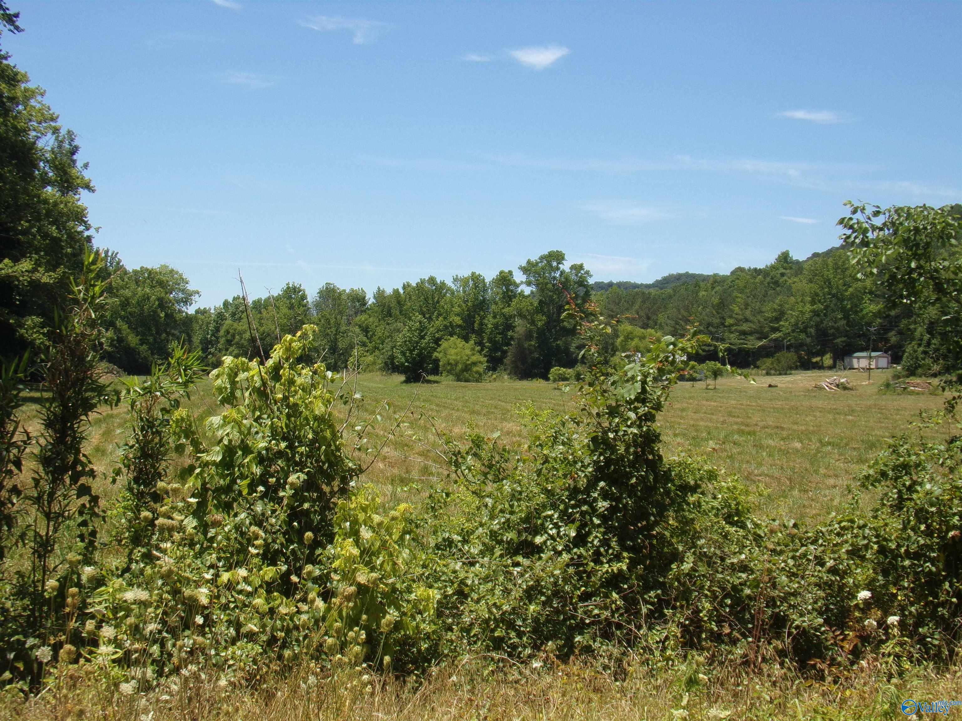 6608 Sand Valley Road, Attalla, Alabama image 41