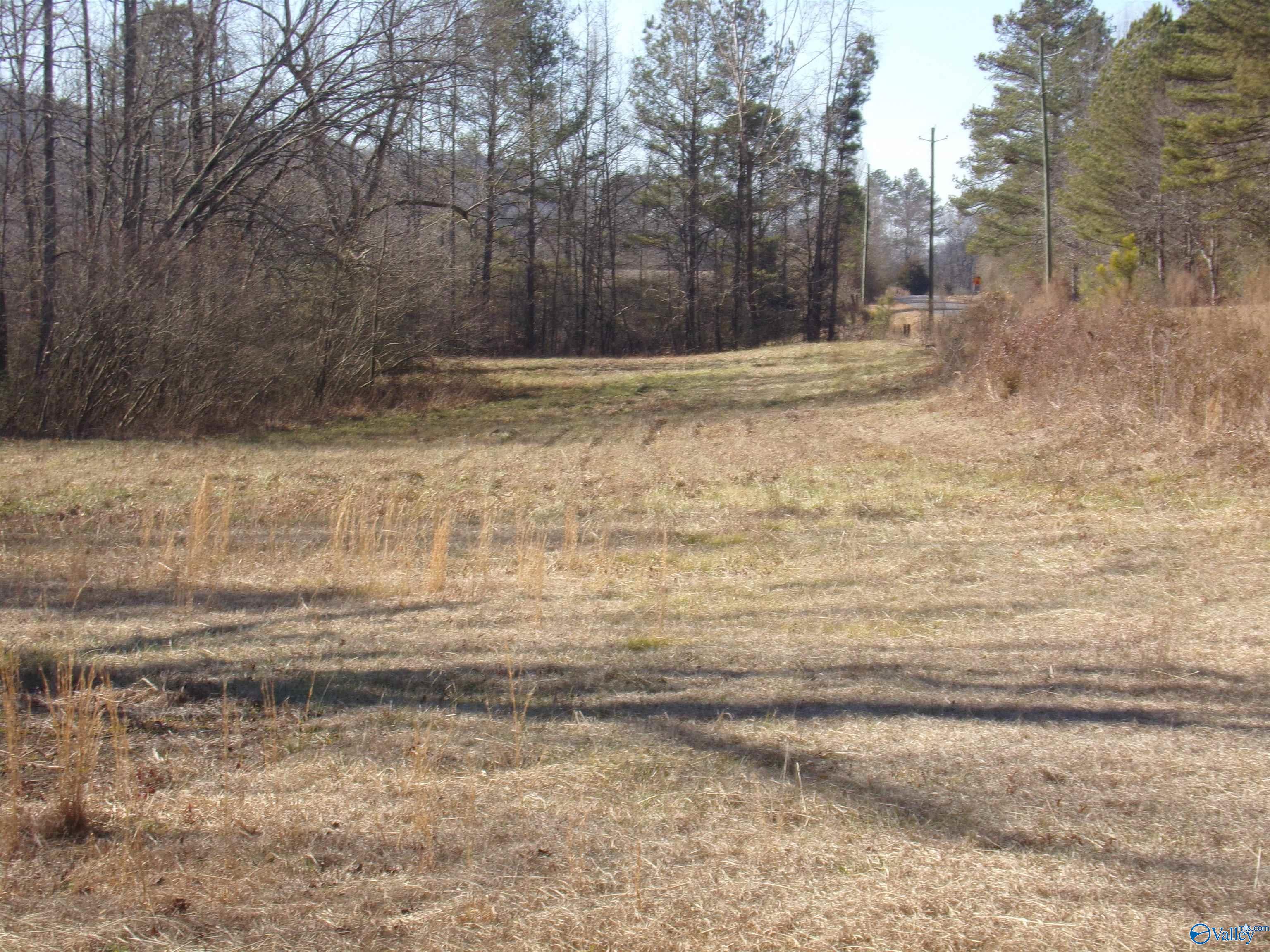 6608 Sand Valley Road, Attalla, Alabama image 28