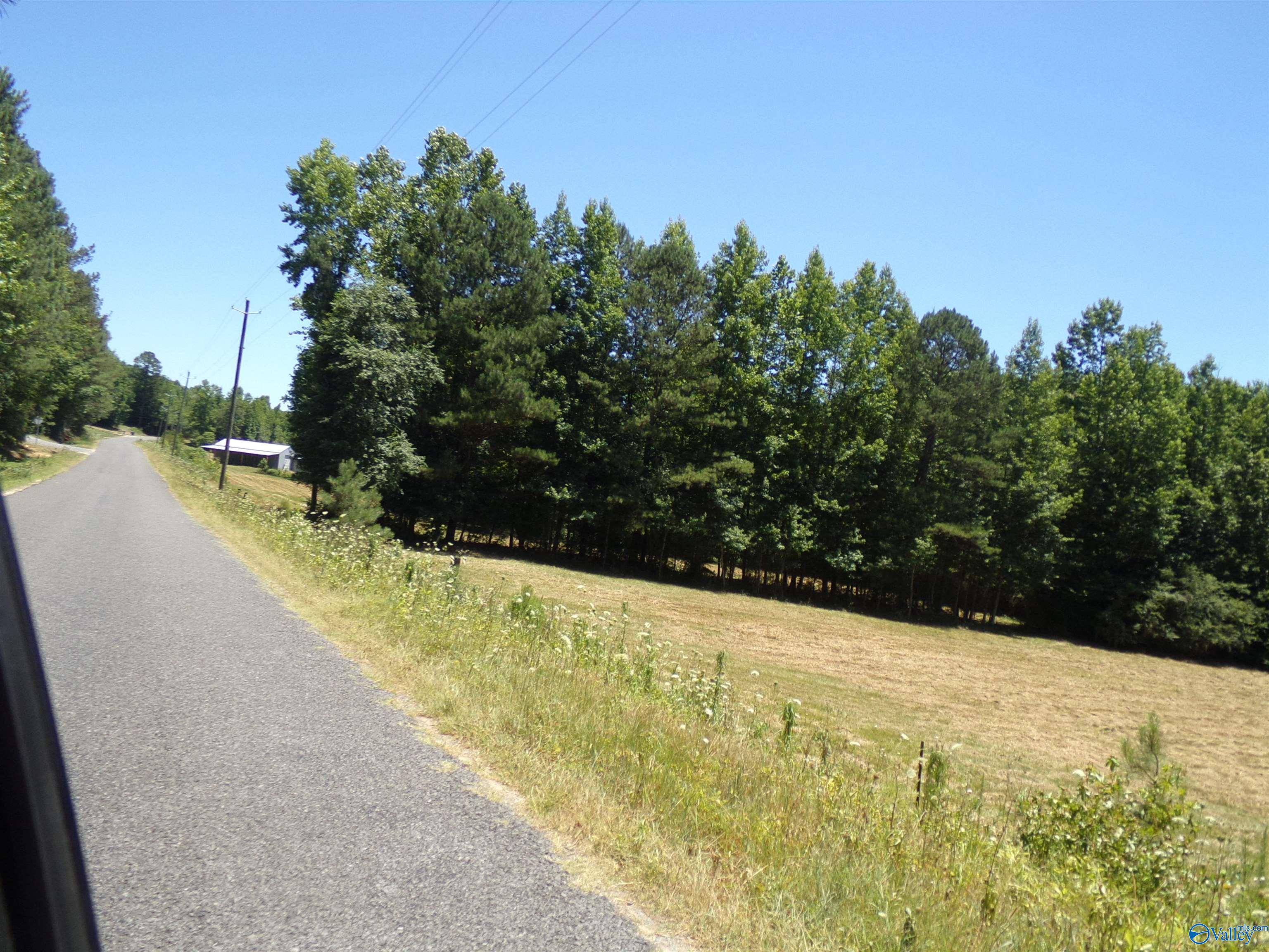 6608 Sand Valley Road, Attalla, Alabama image 49