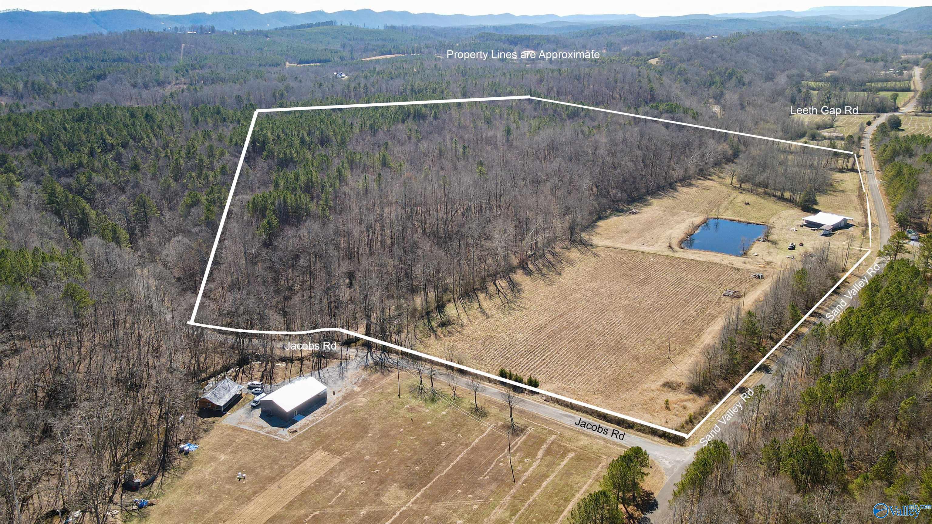 6608 Sand Valley Road, Attalla, Alabama image 29