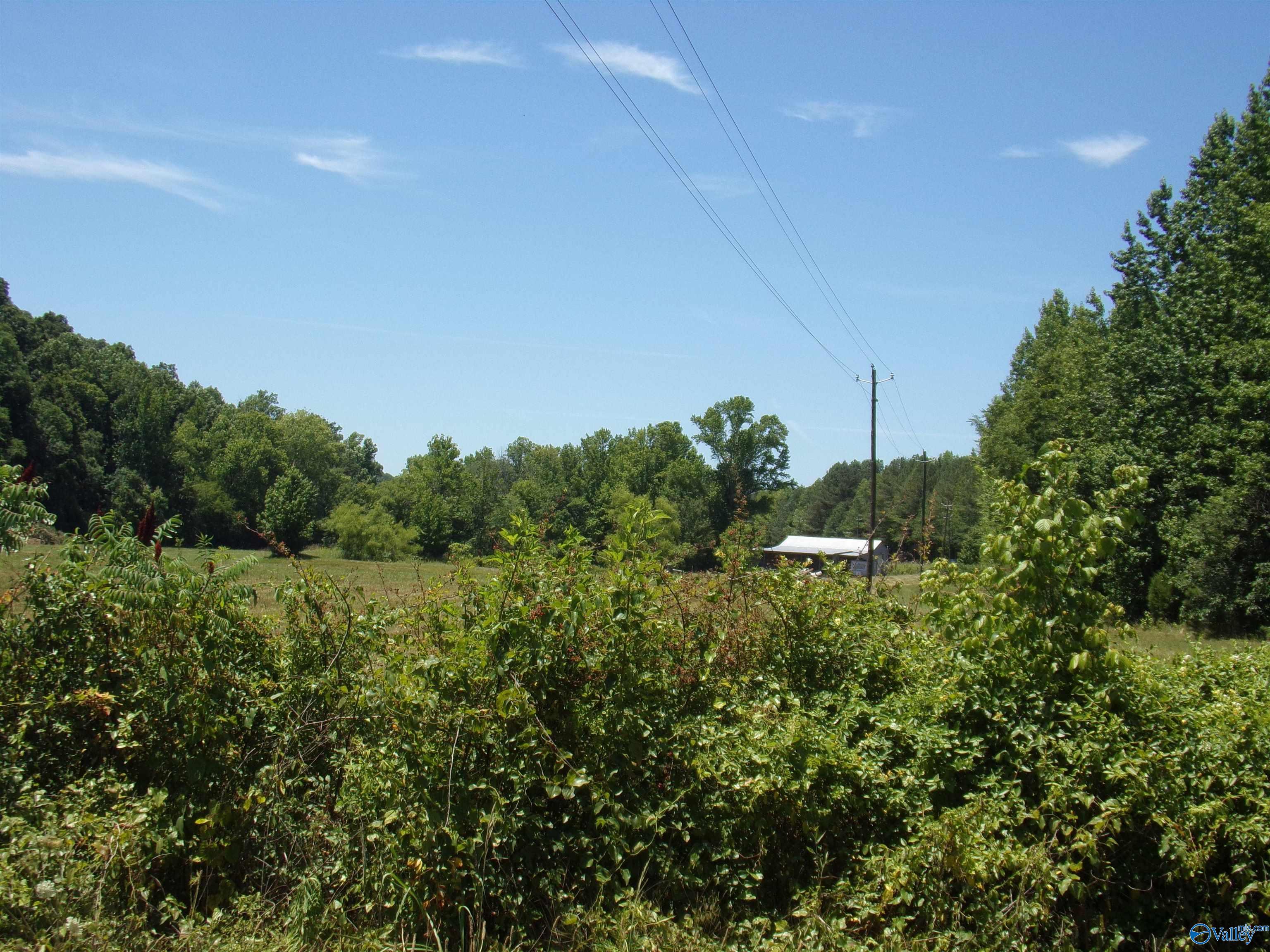 6608 Sand Valley Road, Attalla, Alabama image 43