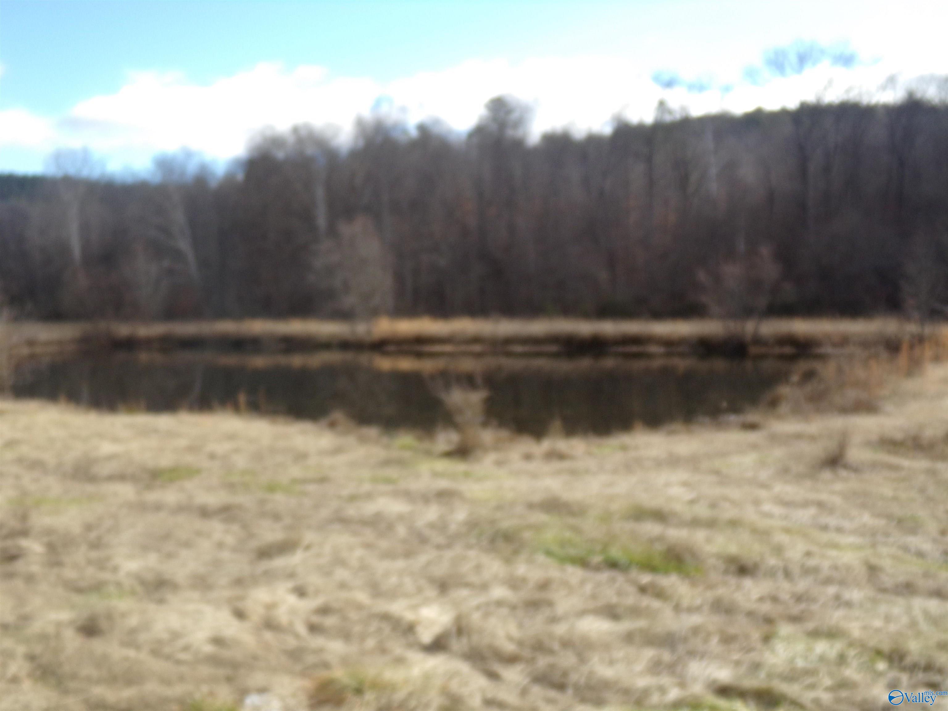 6608 Sand Valley Road, Attalla, Alabama image 17
