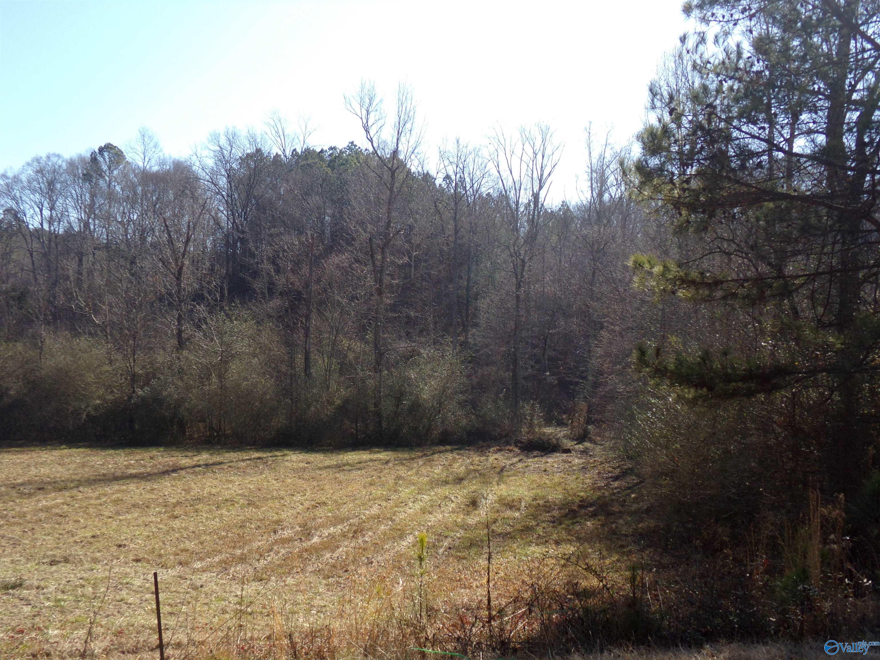 6608 Sand Valley Road, Attalla, Alabama image 40