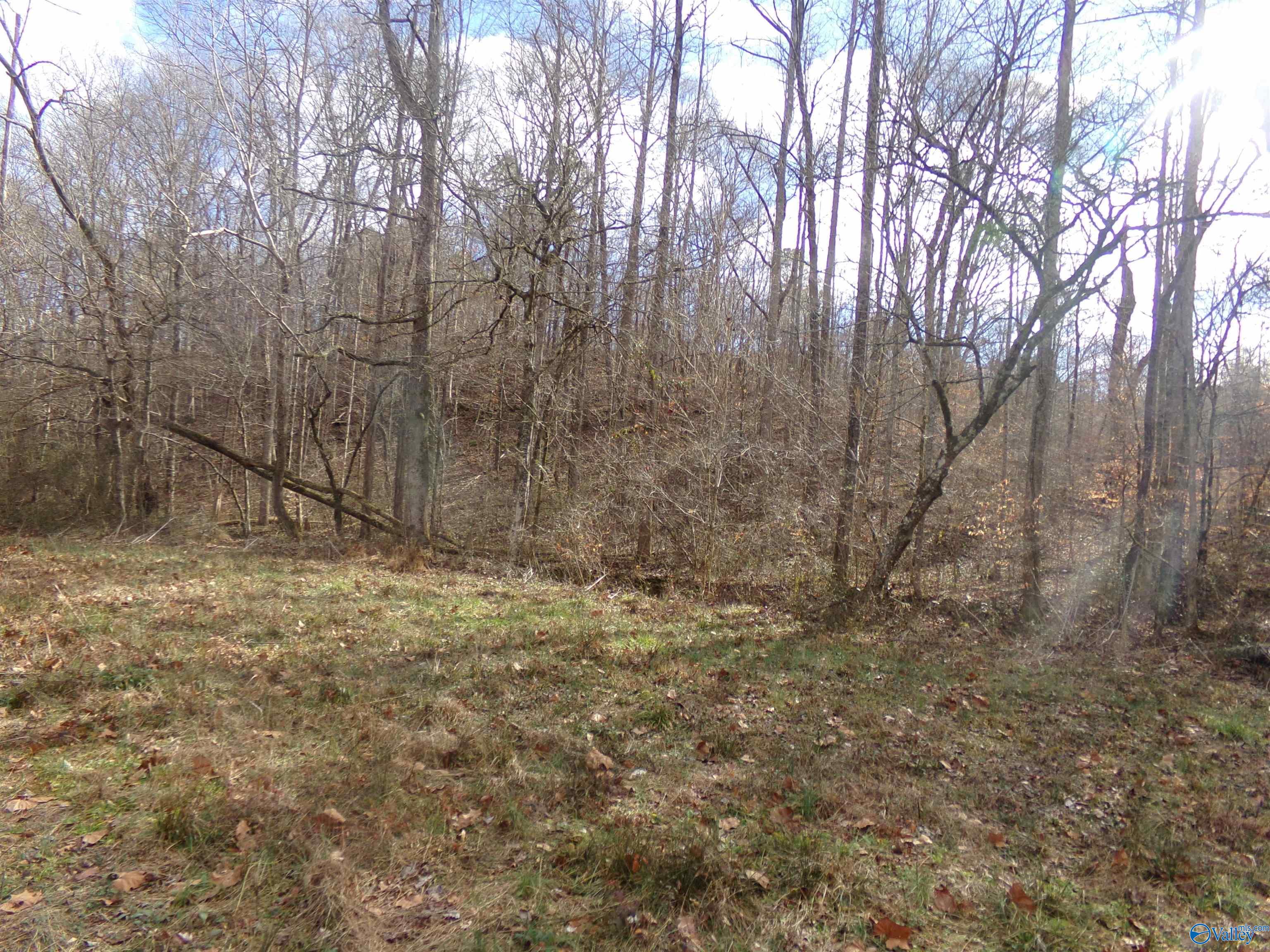 6608 Sand Valley Road, Attalla, Alabama image 19