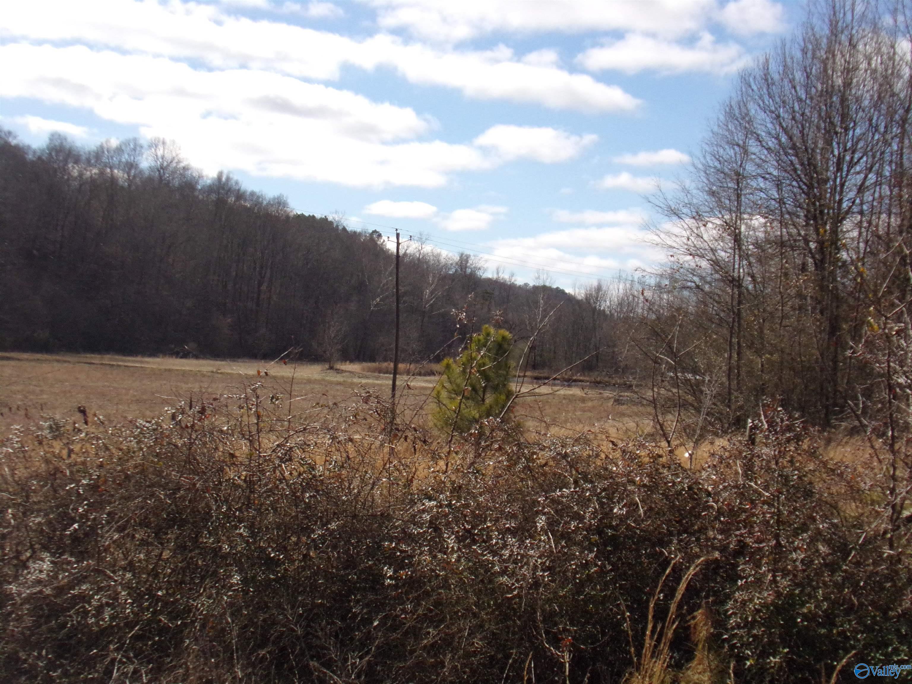 6608 Sand Valley Road, Attalla, Alabama image 26