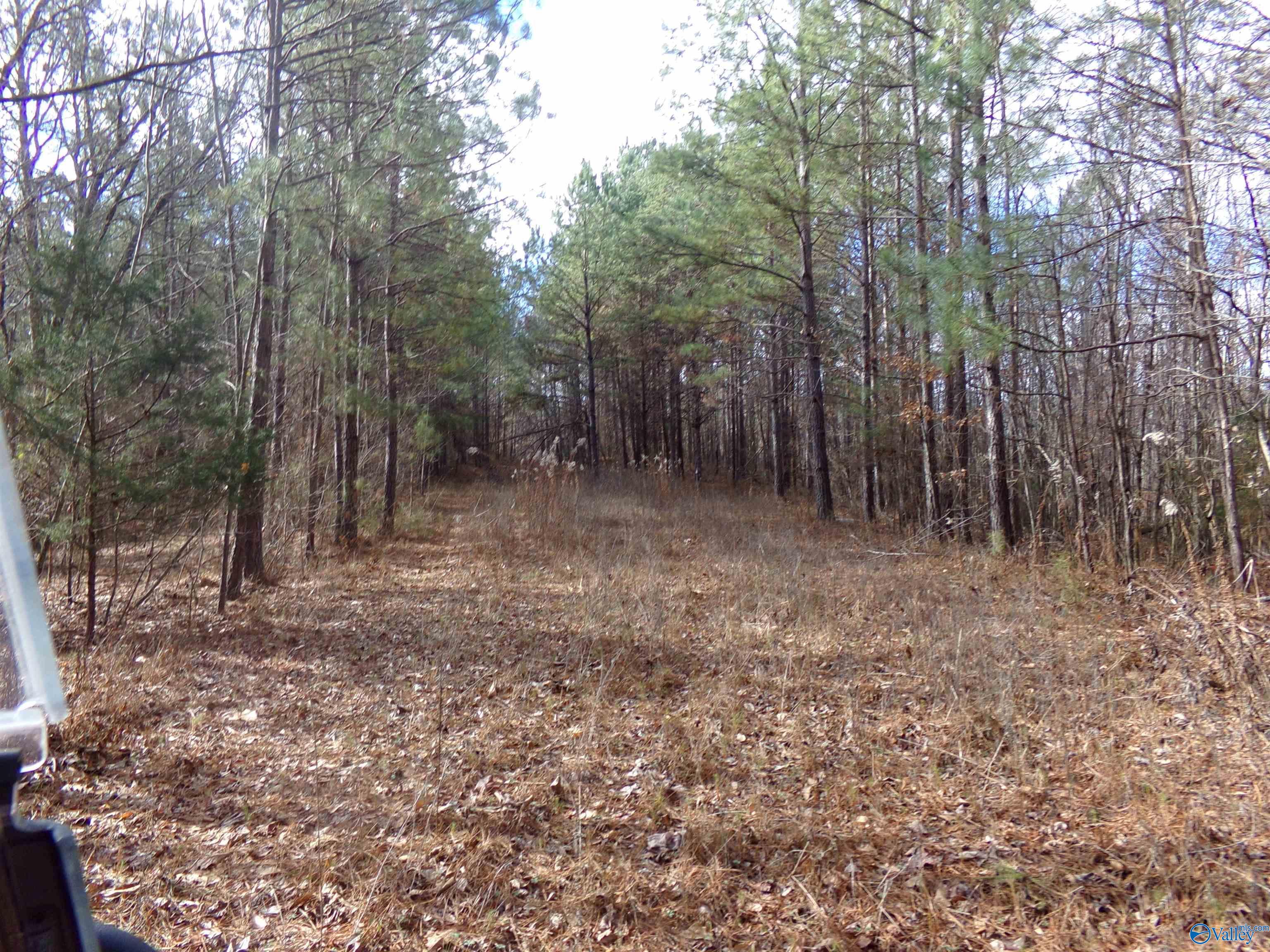 6608 Sand Valley Road, Attalla, Alabama image 16