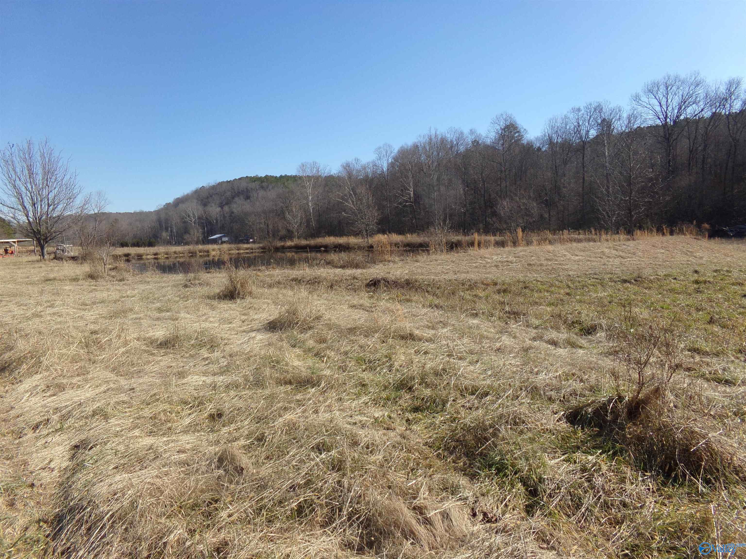 6608 Sand Valley Road, Attalla, Alabama image 27