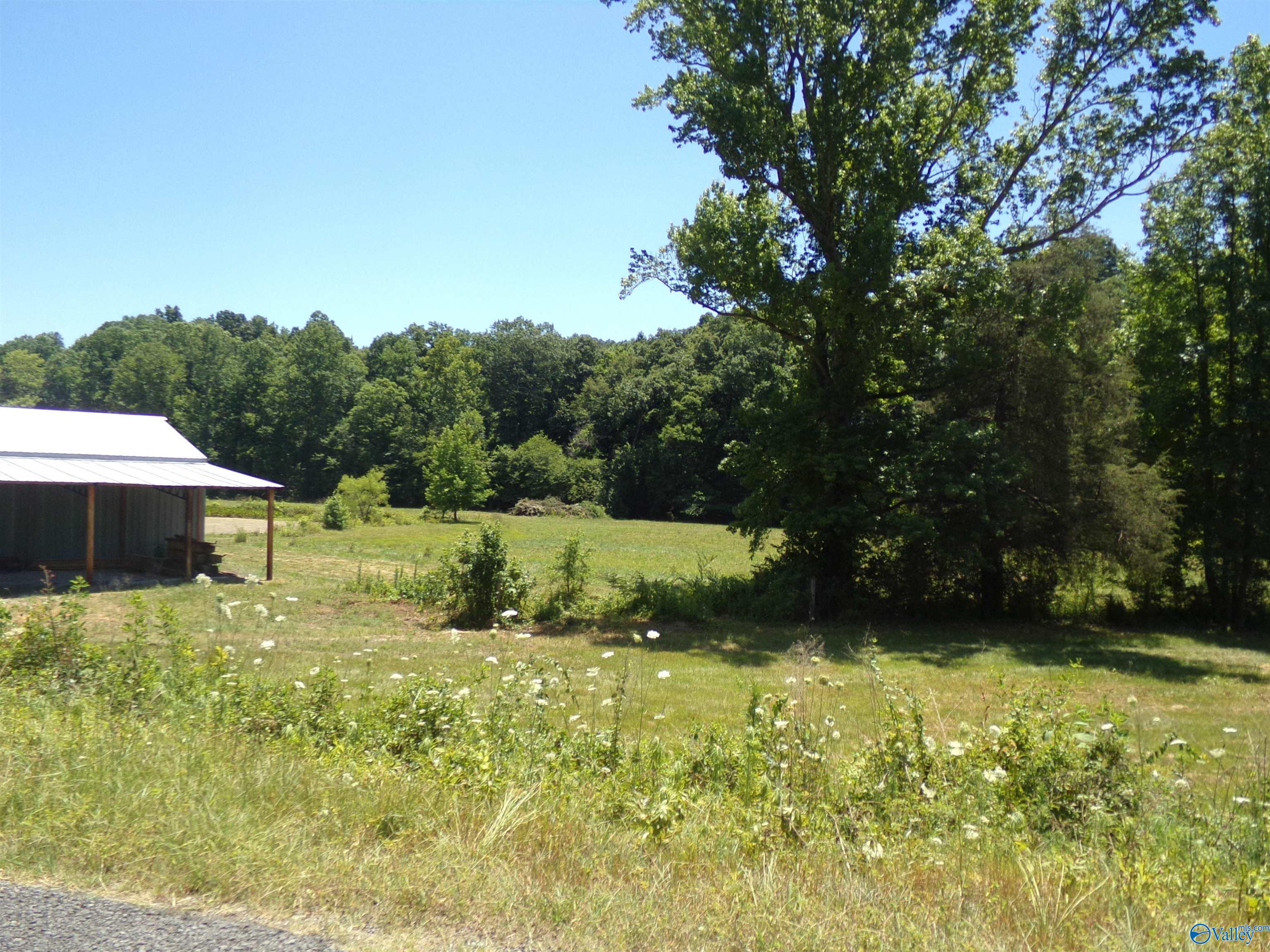 6608 Sand Valley Road, Attalla, Alabama image 46