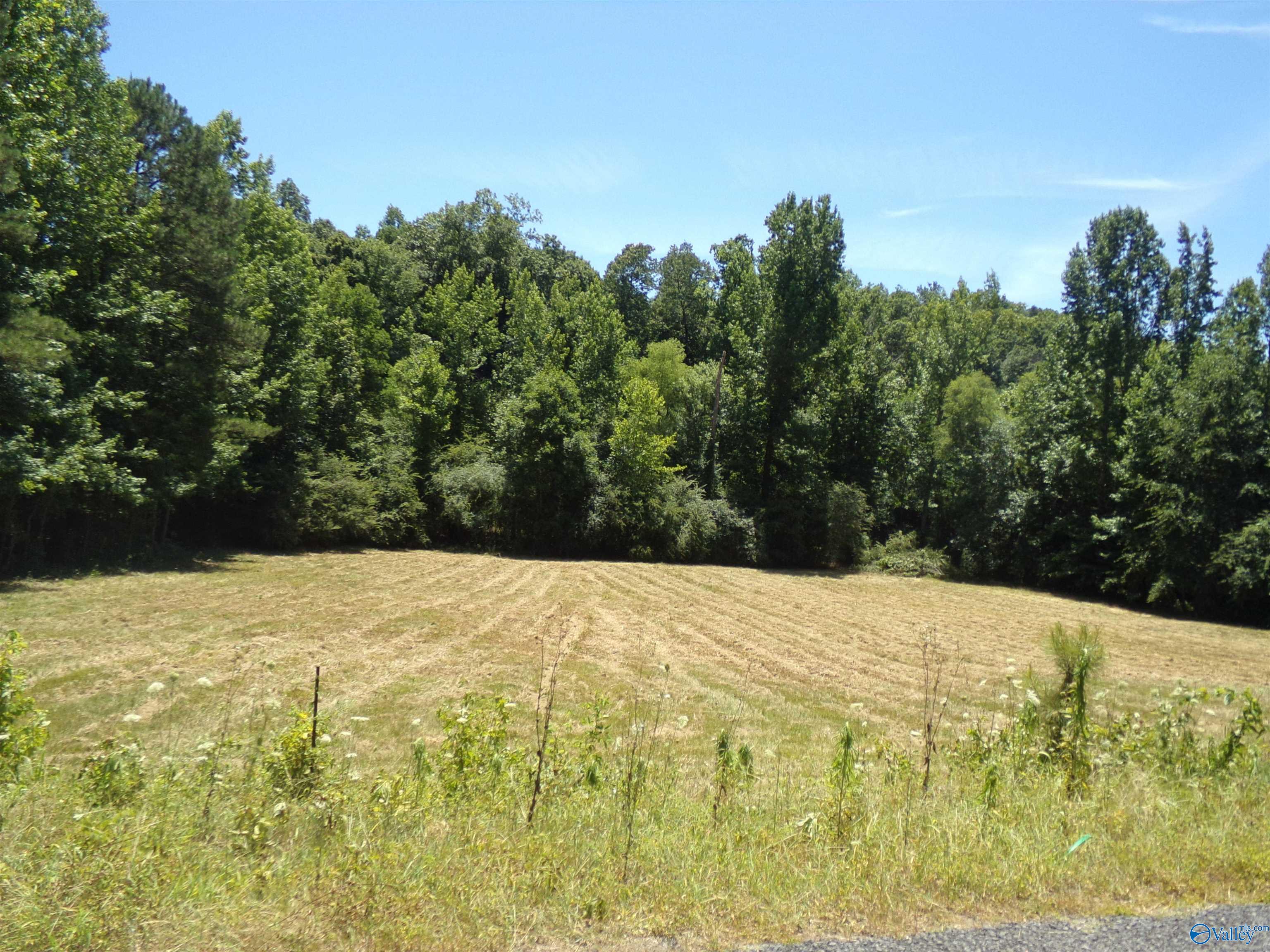 6608 Sand Valley Road, Attalla, Alabama image 48