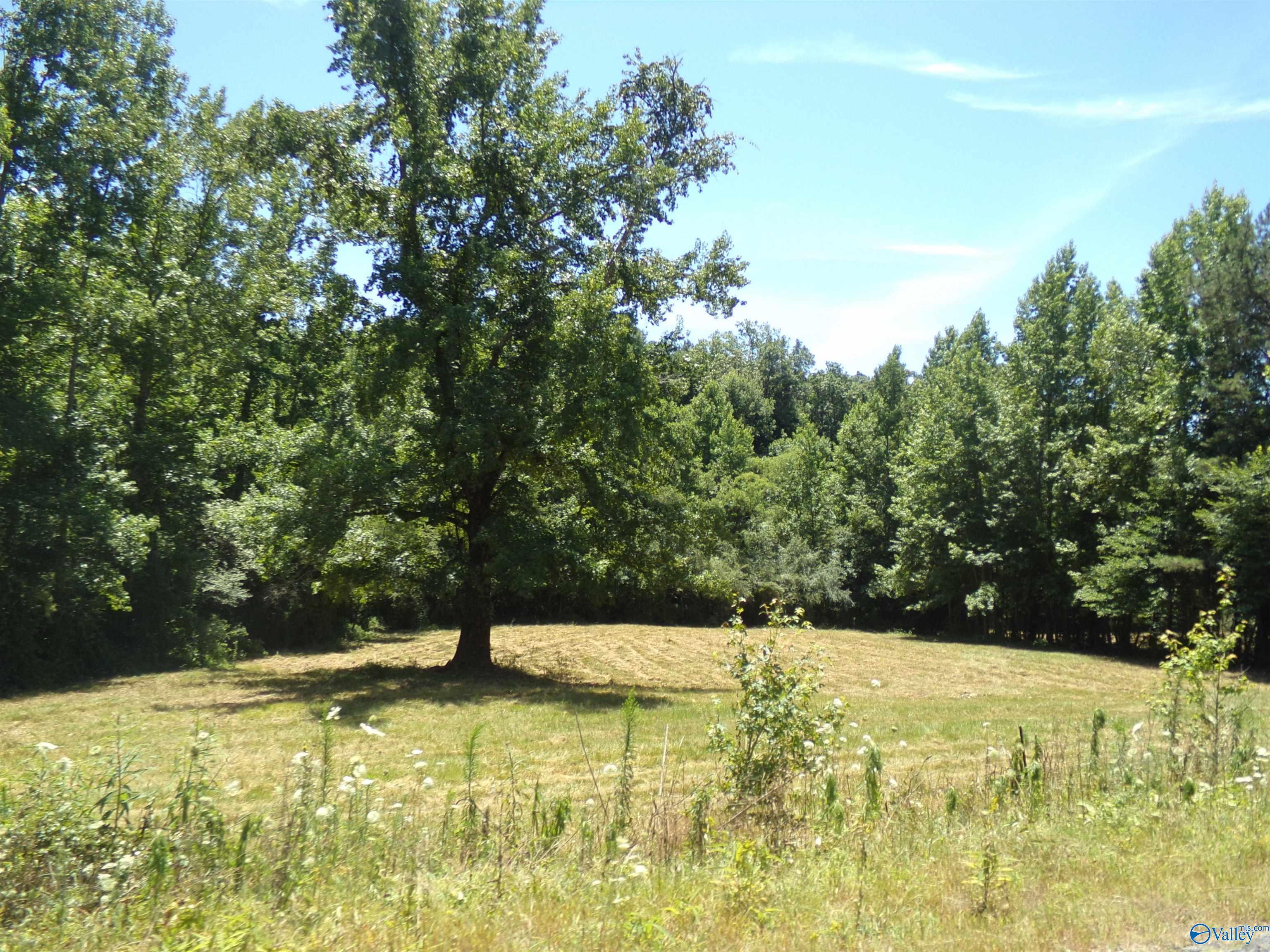 6608 Sand Valley Road, Attalla, Alabama image 47